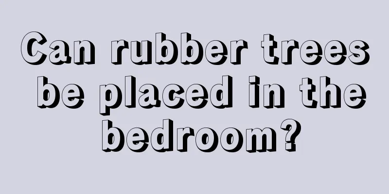 Can rubber trees be placed in the bedroom?