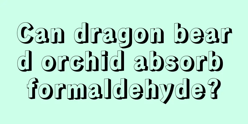 Can dragon beard orchid absorb formaldehyde?