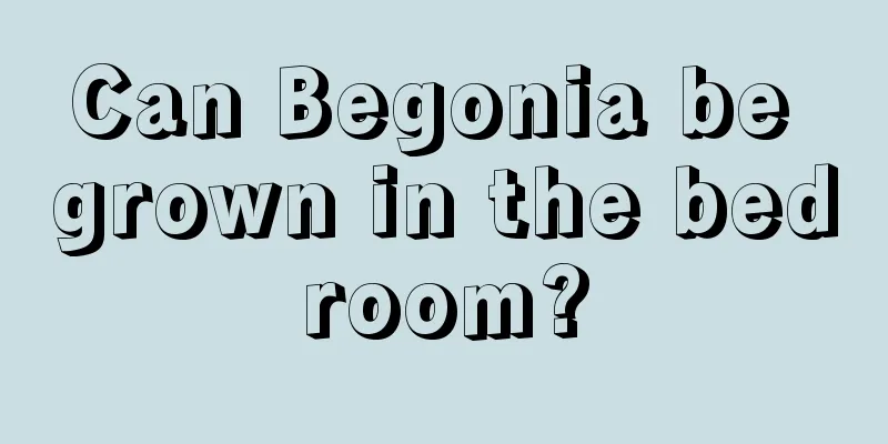 Can Begonia be grown in the bedroom?