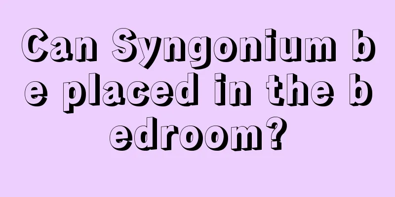 Can Syngonium be placed in the bedroom?