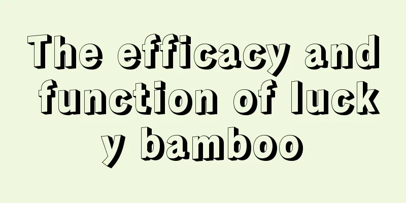 The efficacy and function of lucky bamboo