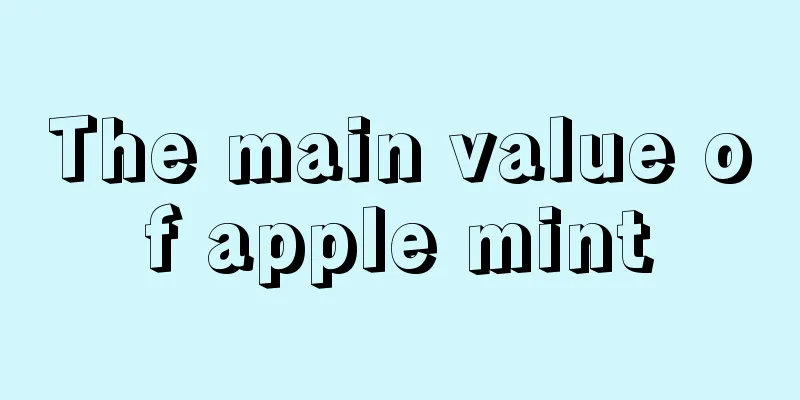 The main value of apple mint