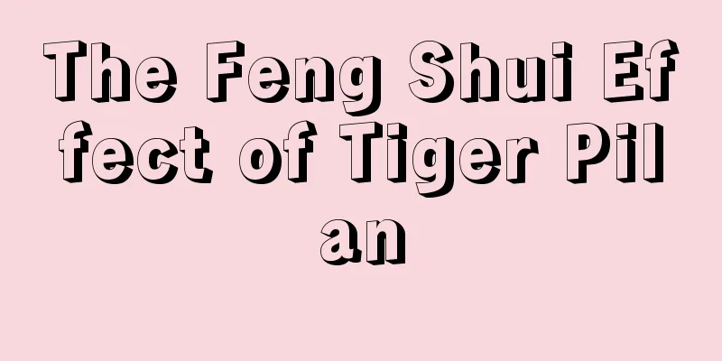 The Feng Shui Effect of Tiger Pilan