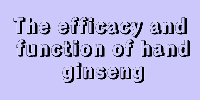 The efficacy and function of hand ginseng