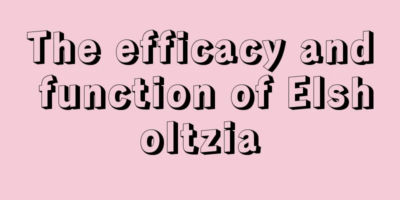 The efficacy and function of Elsholtzia