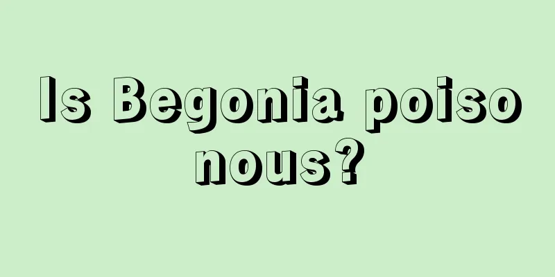 Is Begonia poisonous?