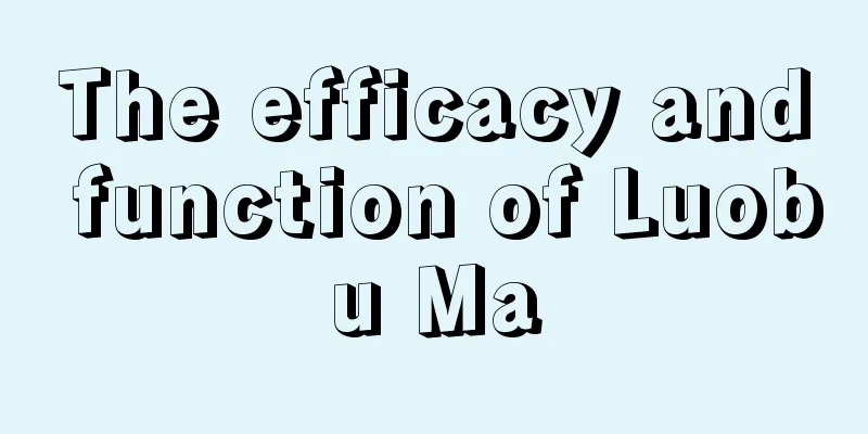 The efficacy and function of Luobu Ma