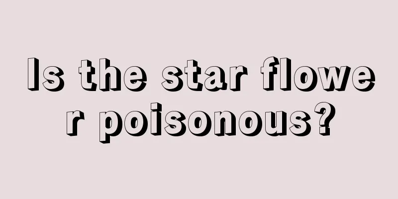 Is the star flower poisonous?