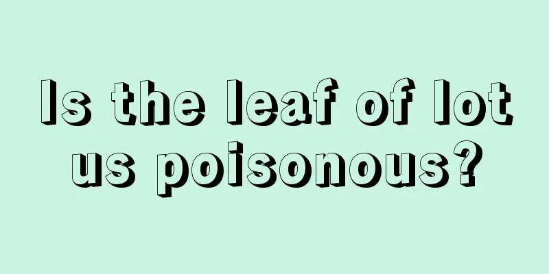 Is the leaf of lotus poisonous?