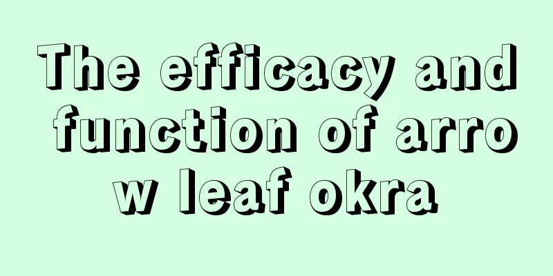 The efficacy and function of arrow leaf okra