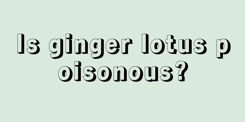 Is ginger lotus poisonous?