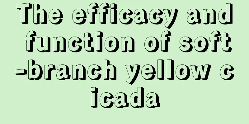 The efficacy and function of soft-branch yellow cicada