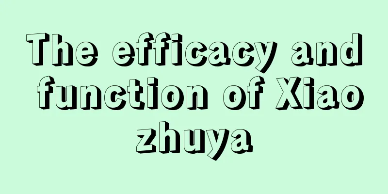 The efficacy and function of Xiaozhuya