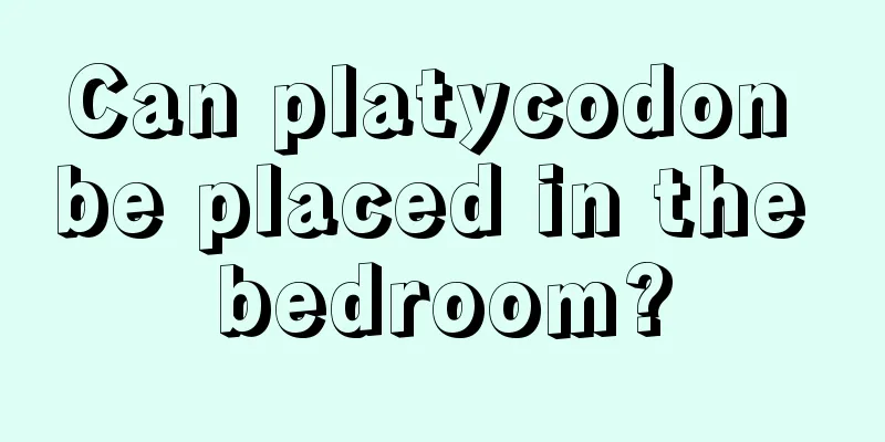 Can platycodon be placed in the bedroom?