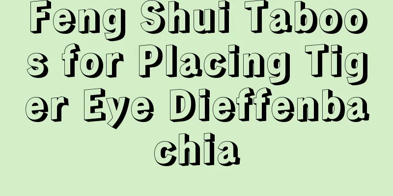 Feng Shui Taboos for Placing Tiger Eye Dieffenbachia