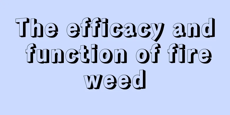 The efficacy and function of fireweed