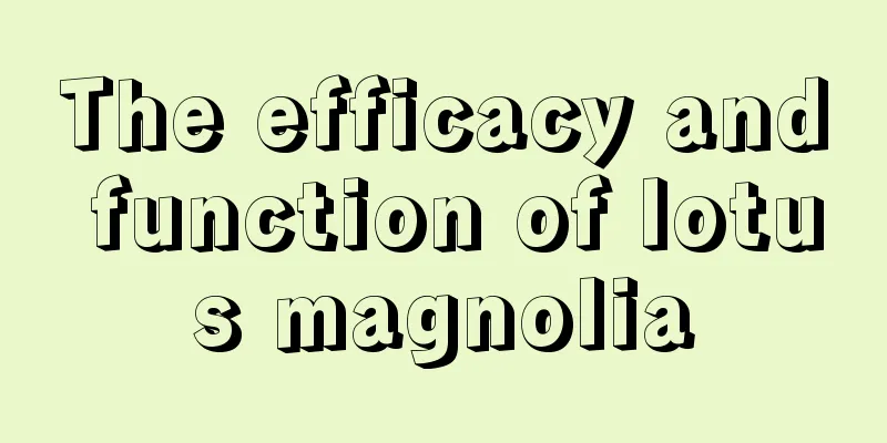 The efficacy and function of lotus magnolia