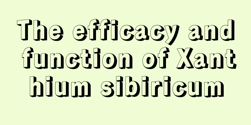 The efficacy and function of Xanthium sibiricum