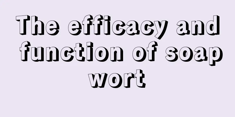 The efficacy and function of soapwort