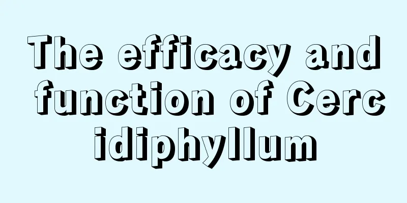 The efficacy and function of Cercidiphyllum