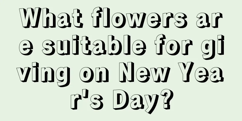 What flowers are suitable for giving on New Year's Day?