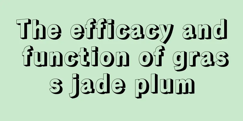 The efficacy and function of grass jade plum