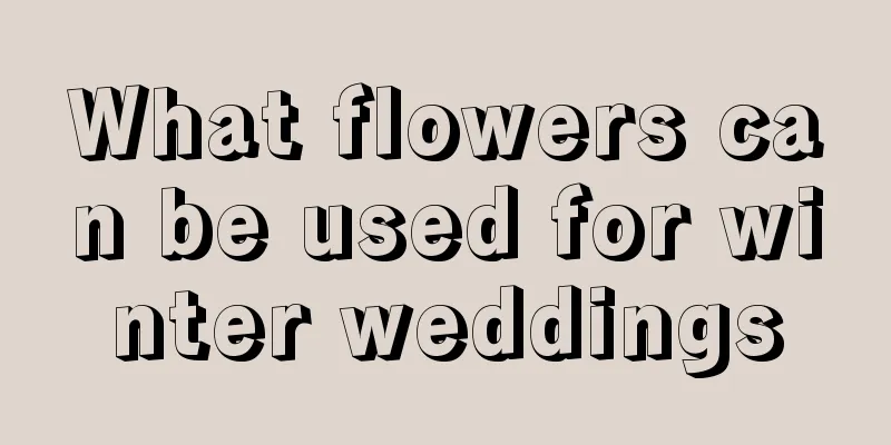 What flowers can be used for winter weddings