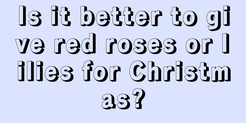 Is it better to give red roses or lilies for Christmas?