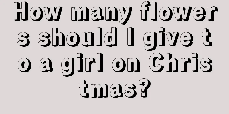 How many flowers should I give to a girl on Christmas?