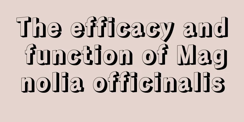 The efficacy and function of Magnolia officinalis