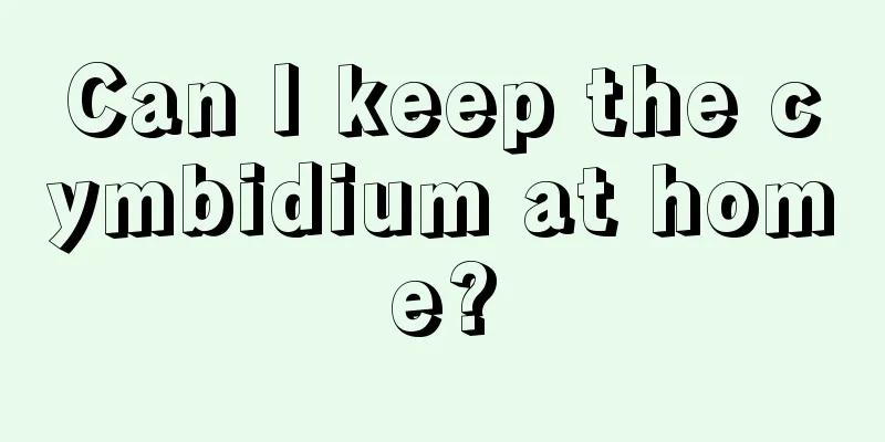 Can I keep the cymbidium at home?