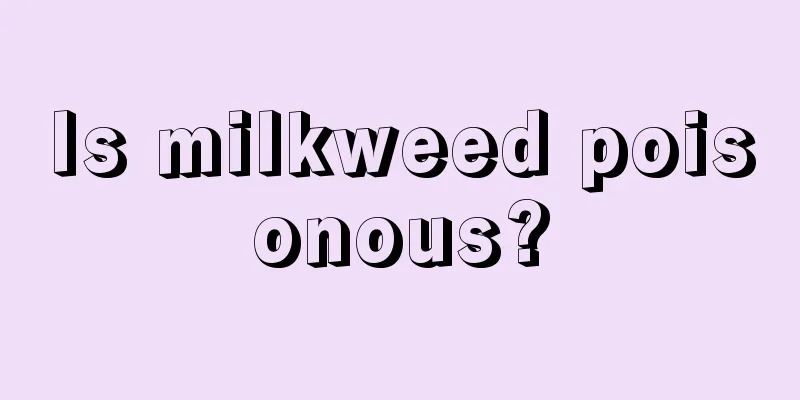 Is milkweed poisonous?