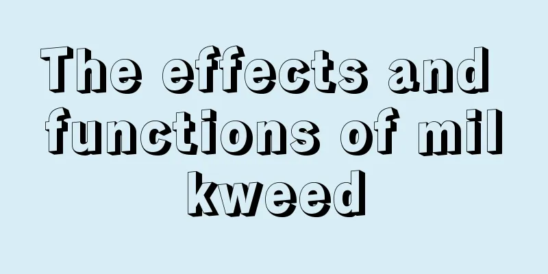 The effects and functions of milkweed