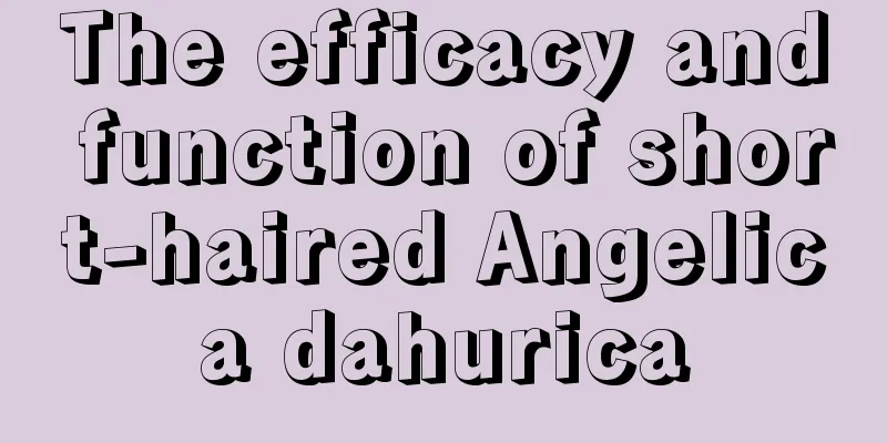 The efficacy and function of short-haired Angelica dahurica