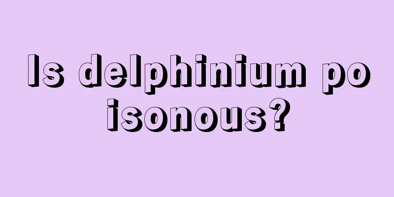 Is delphinium poisonous?