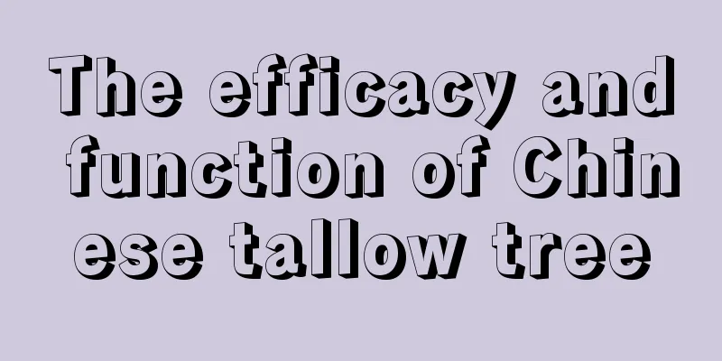 The efficacy and function of Chinese tallow tree