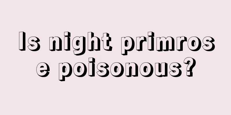 Is night primrose poisonous?