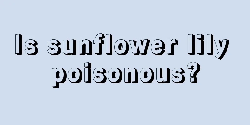 Is sunflower lily poisonous?