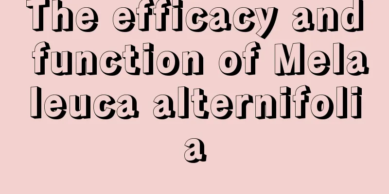 The efficacy and function of Melaleuca alternifolia