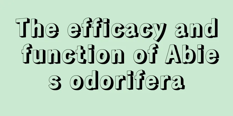 The efficacy and function of Abies odorifera