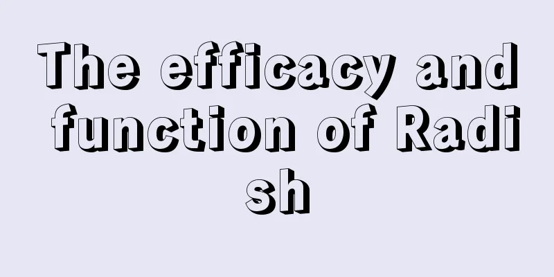 The efficacy and function of Radish