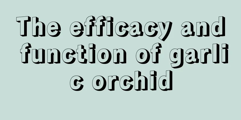 The efficacy and function of garlic orchid