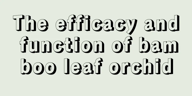 The efficacy and function of bamboo leaf orchid