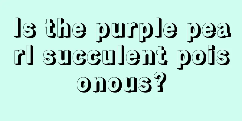 Is the purple pearl succulent poisonous?