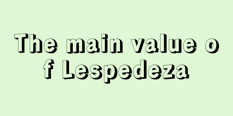 The main value of Lespedeza