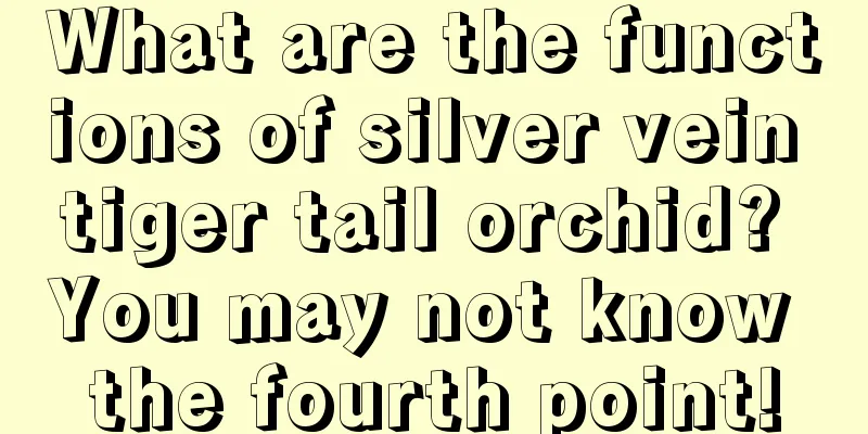 What are the functions of silver vein tiger tail orchid? You may not know the fourth point!