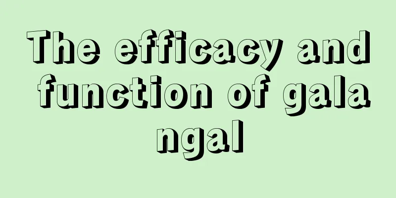 The efficacy and function of galangal