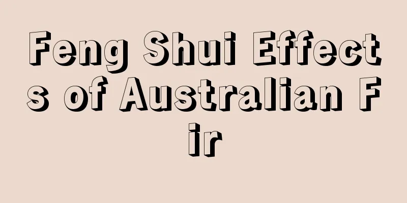 Feng Shui Effects of Australian Fir