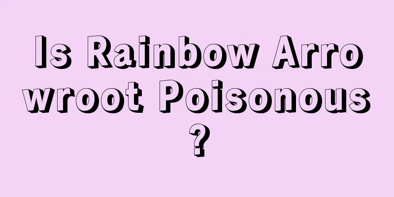 Is Rainbow Arrowroot Poisonous?