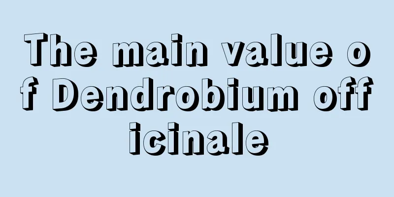 The main value of Dendrobium officinale